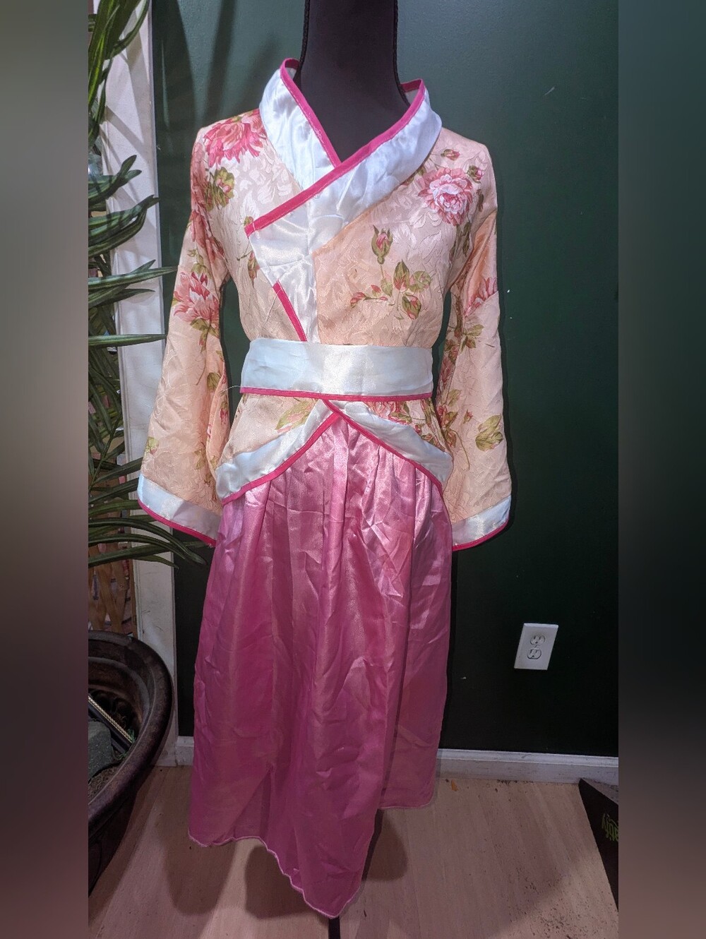 Asian Inspired Cosplay/ Costume 10/12